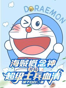 爆改海贼世界TXT